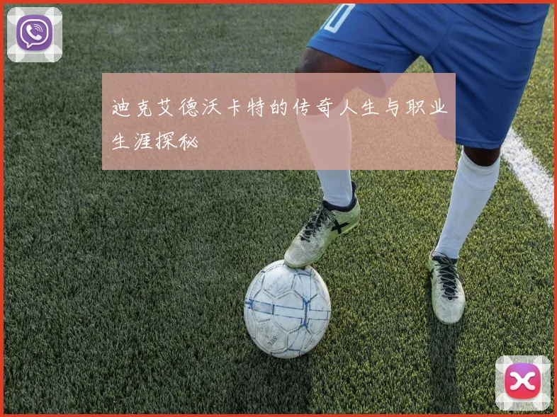 迪克艾德沃卡特的传奇人生与职业生涯探秘