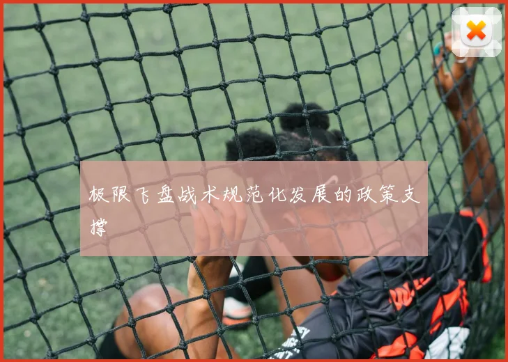极限飞盘战术规范化发展的政策支撑